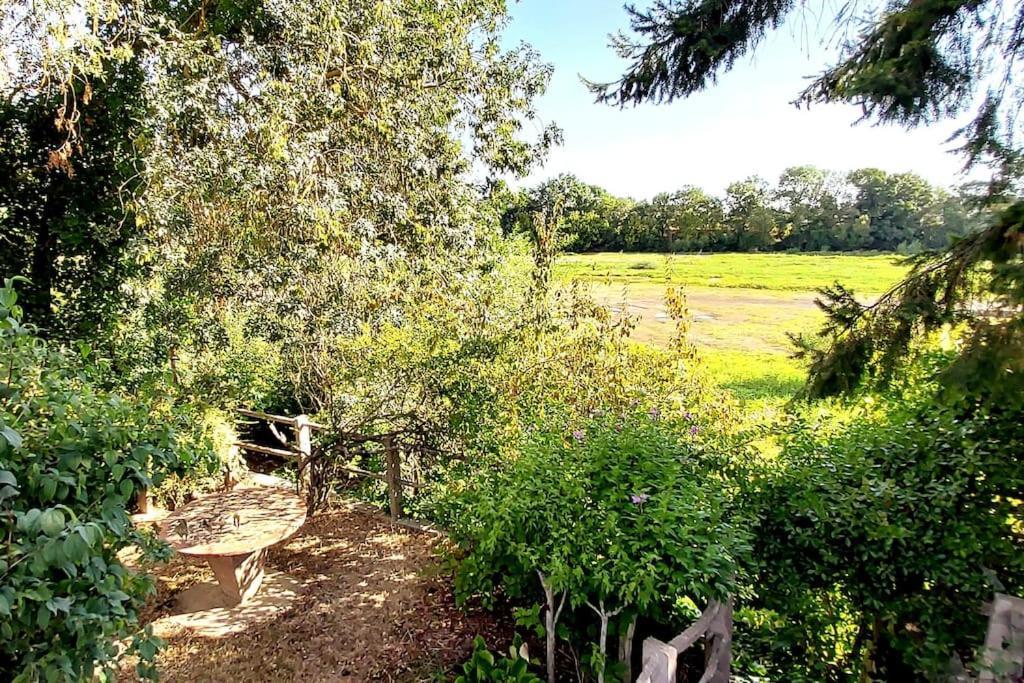 Le Bois Flotté - Maison au cœur de la Loire entre ville et nature Saumur Extérieur photo