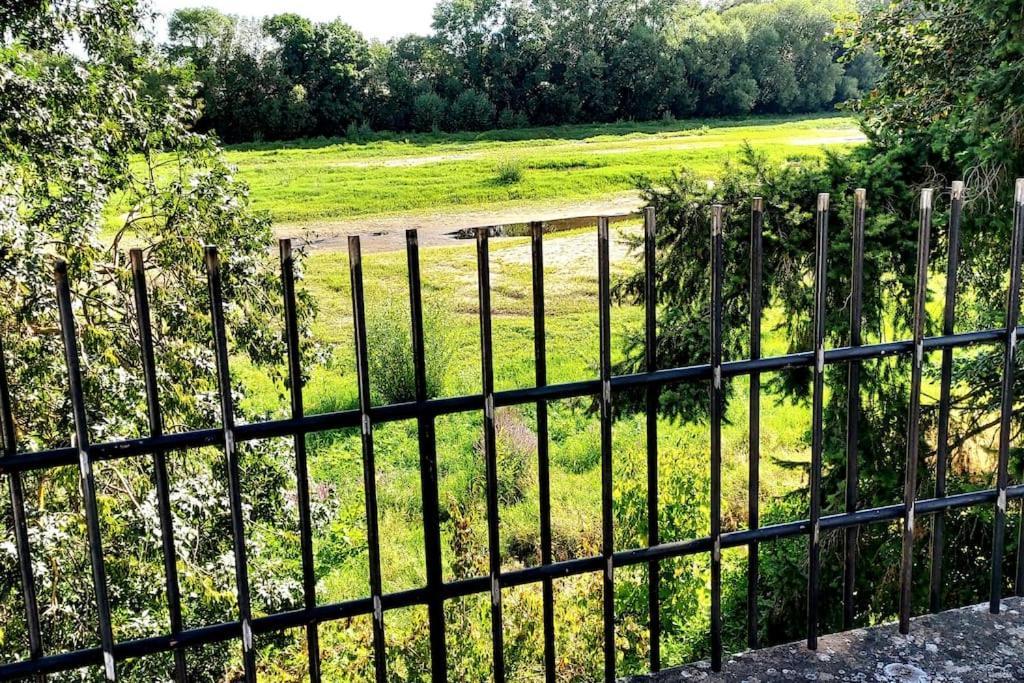 Le Bois Flotté - Maison au cœur de la Loire entre ville et nature Saumur Extérieur photo