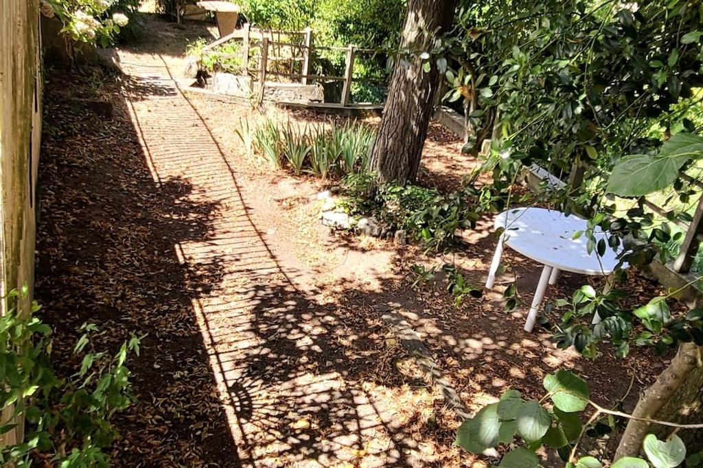Le Bois Flotté - Maison au cœur de la Loire entre ville et nature Saumur Extérieur photo